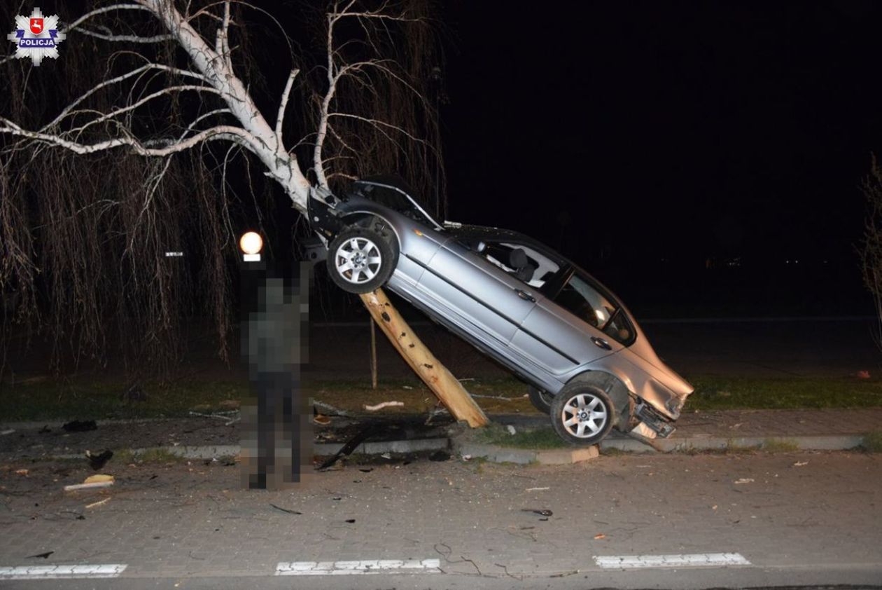  Janów Lubelski. Kierowca BMW wjechał na drzewo (zdjęcie 1) - Autor: Policja