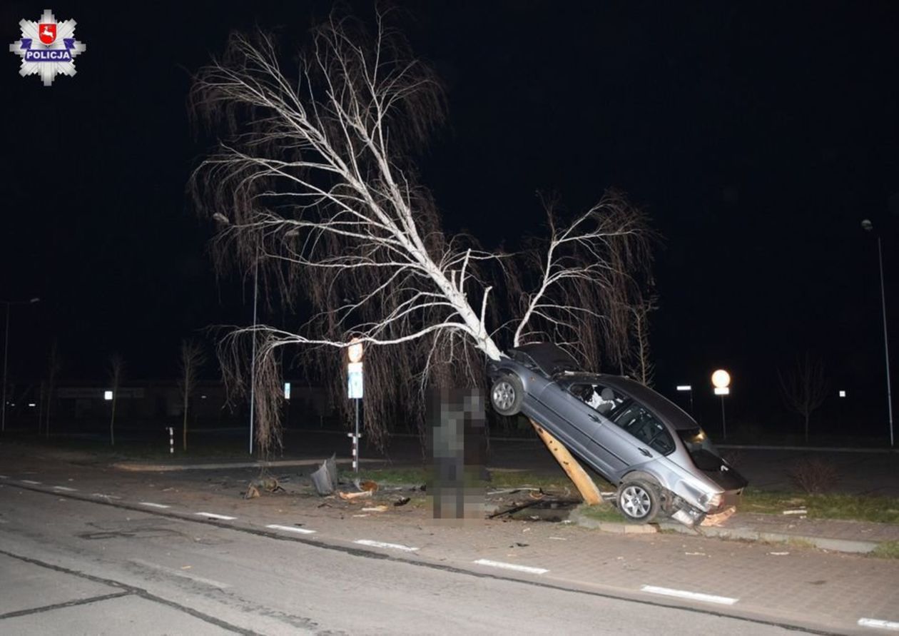  Janów Lubelski. Kierowca BMW wjechał na drzewo (zdjęcie 1) - Autor: Policja