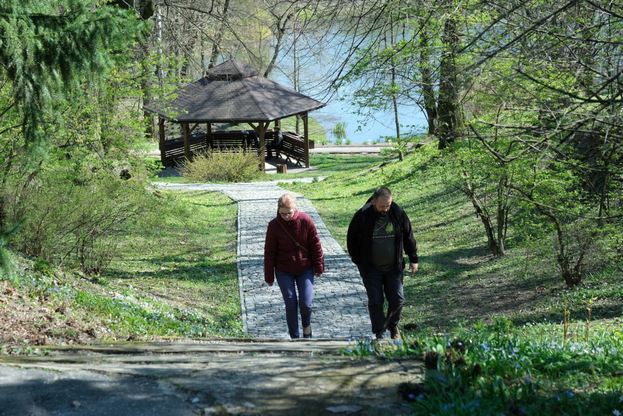  Ogród Botaniczny UMCS otwarty dla zwiedzających (zdjęcie 1) - Autor: Maciej Kaczanowski