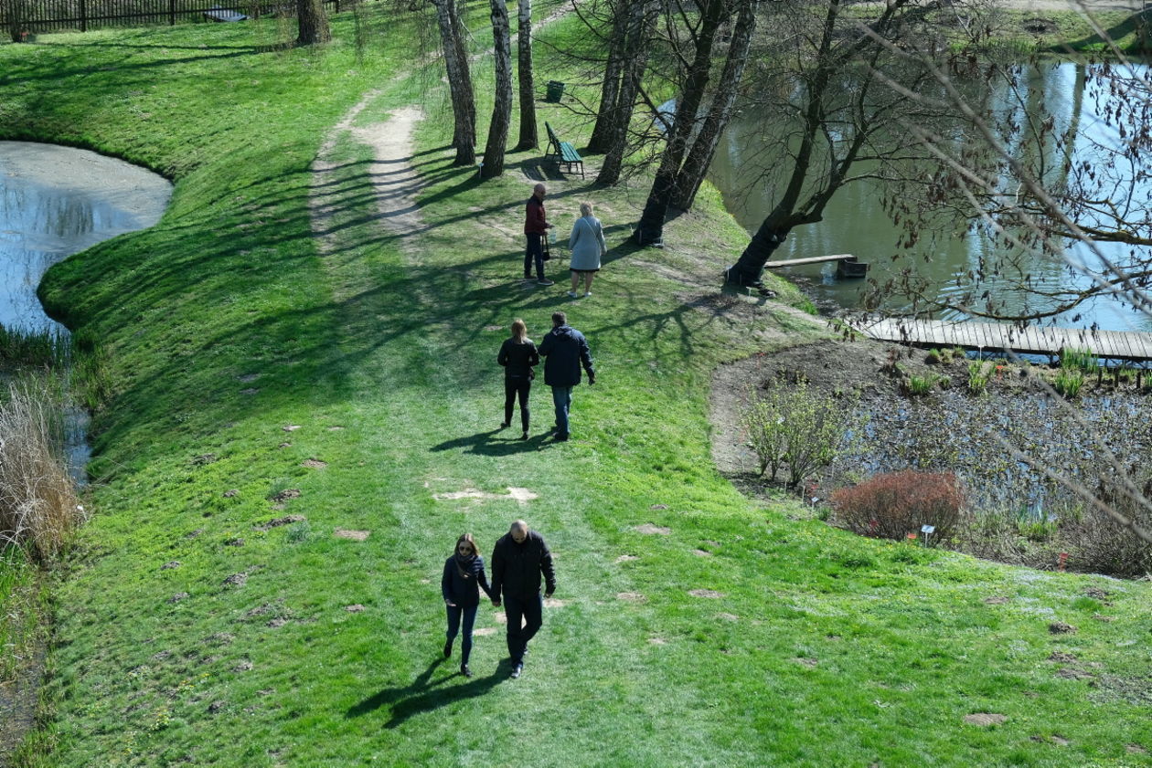  Ogród Botaniczny UMCS otwarty dla zwiedzających (zdjęcie 1) - Autor: Maciej Kaczanowski