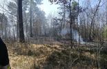Pożar lasu w miejscowości Rowiny (zdjęcie 3)