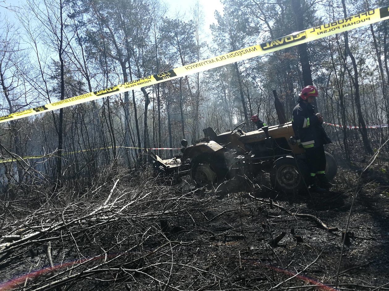  Pożar lasu w miejscowości Rowiny (zdjęcie 1) - Autor: OSP Rossosz