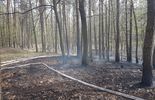 Pożar lasu w okolicy miejscowości Grabówka (zdjęcie 3)