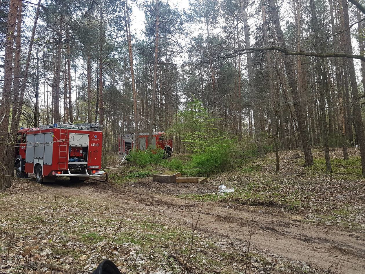 Pożar lasu w okolicy miejscowości Grabówka