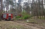 Pożar lasu w okolicy miejscowości Grabówka (zdjęcie 2)