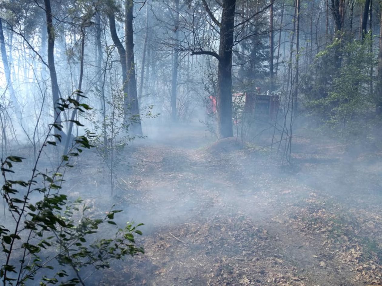 Pożar lasu w pow. lubartowskim i parczewskim - Autor: Ochotnicza Straż Pożarna w Ostrowie Lubelskim