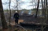 Pożar lasu w pow. lubartowskim i parczewskim (zdjęcie 3)