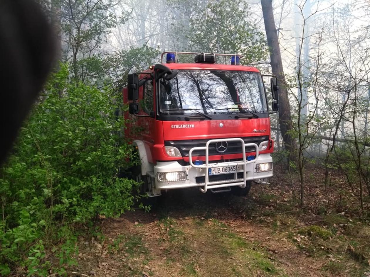  Pożar lasu w pow. lubartowskim i parczewskim (zdjęcie 1) - Autor: Ochotnicza Straż Pożarna w Ostrowie Lubelskim