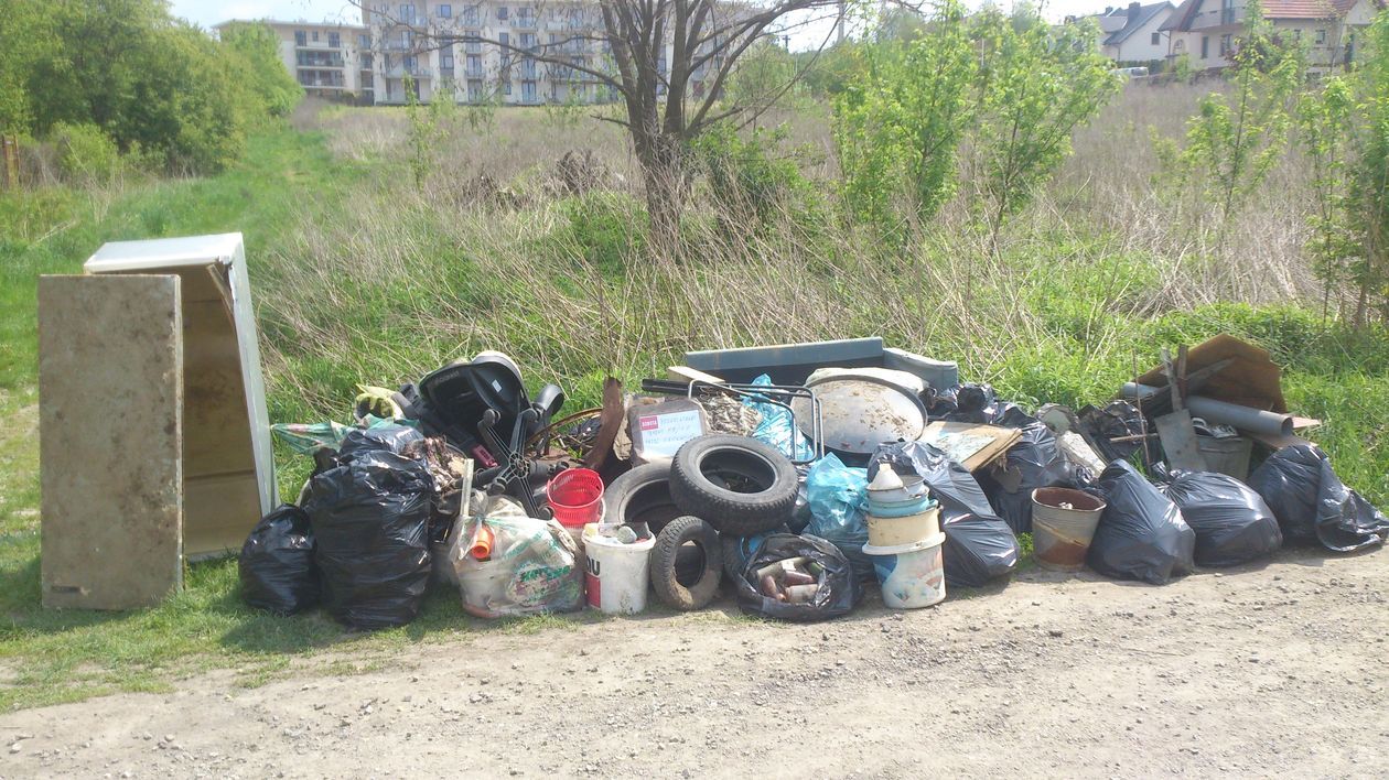  Zbieranie śmieci przy ul. Skowronkowej 34 (zdjęcie 1) - Autor: Mateusz Piekarski
