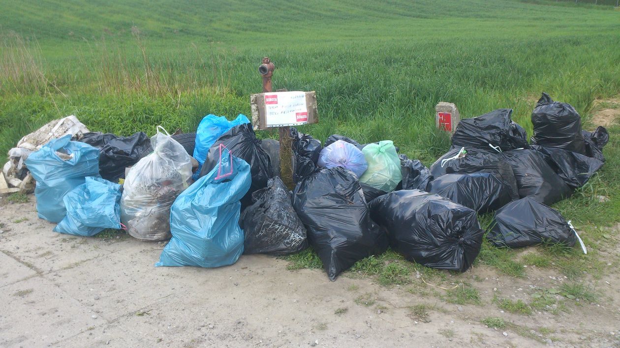  Zbieranie śmieci przy ul. Skowronkowej 34 (zdjęcie 1) - Autor: Mateusz Piekarski