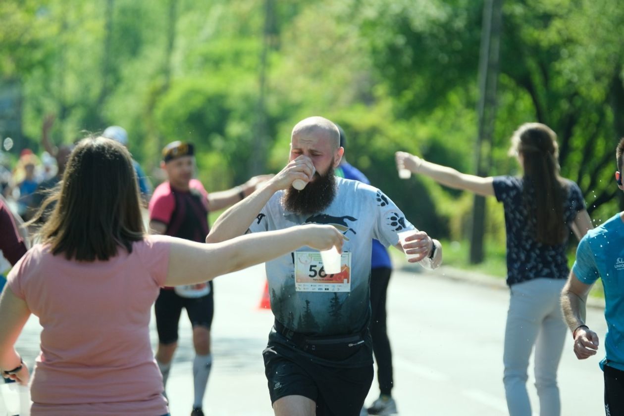  7 Maraton Lubelski (zdjęcie 1) - Autor: Maciej Kaczanowski