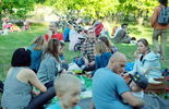 Koncert szantów i piknik rodzinny nad Zalewem Zemborzyckim (zdjęcie 5)