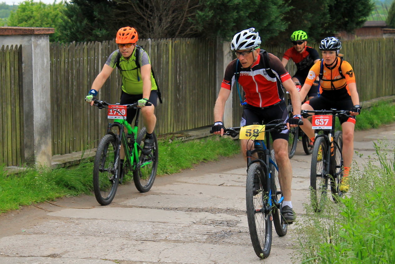  Cisowianka Mazovia MTB Marathon w Puławach (zdjęcie 1) - Autor: Radosław Szczęch