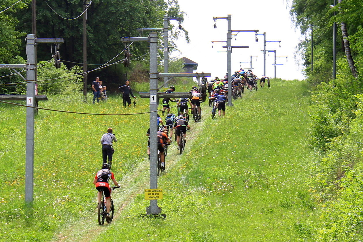  Cisowianka Mazovia MTB Marathon w Puławach (zdjęcie 1) - Autor: Radosław Szczęch