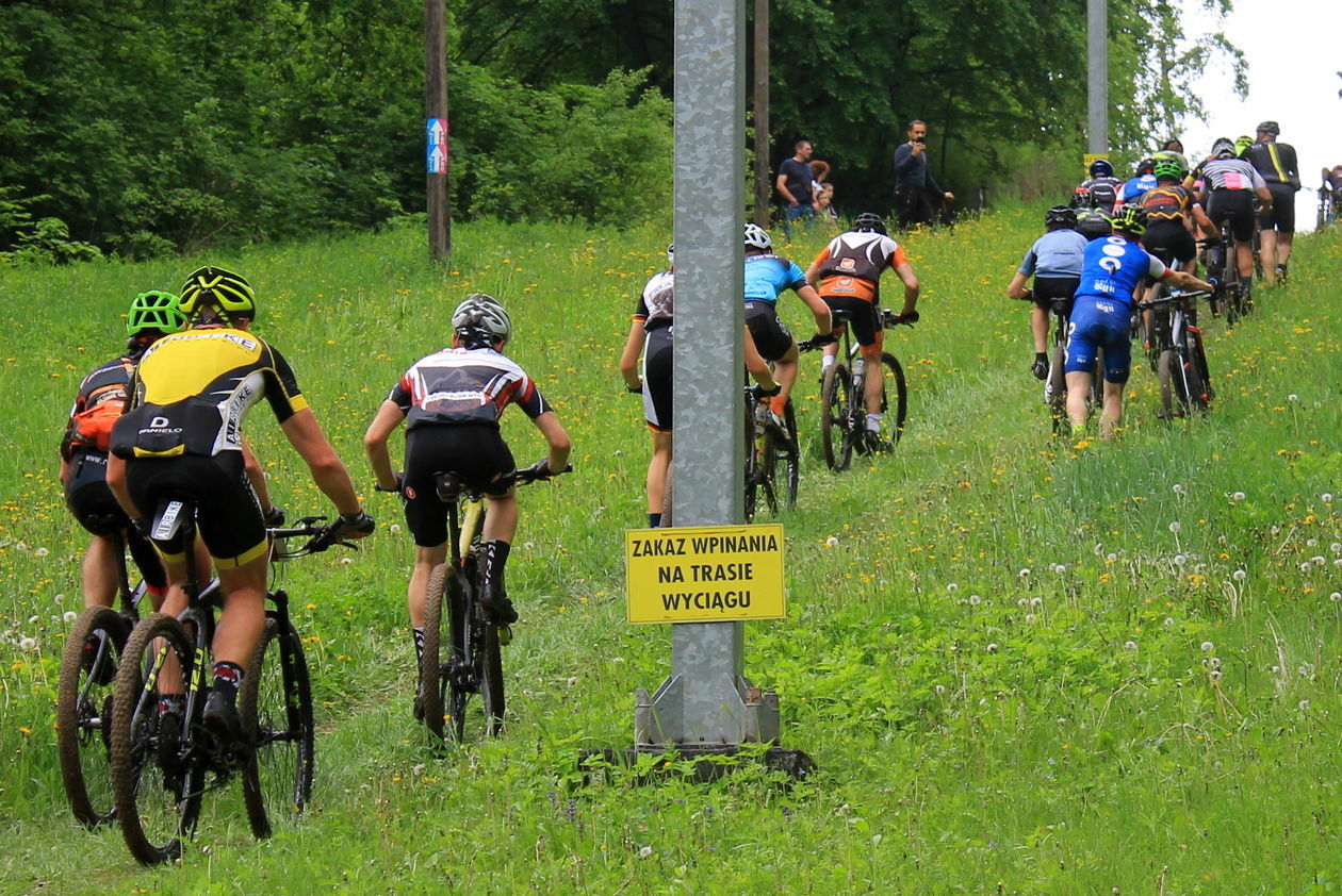  Cisowianka Mazovia MTB Marathon w Puławach (zdjęcie 1) - Autor: Radosław Szczęch