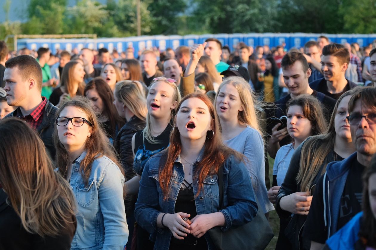  Feliniada 2019 w Lublinie (zdjęcie 1) - Autor: Maciej Kaczanowski