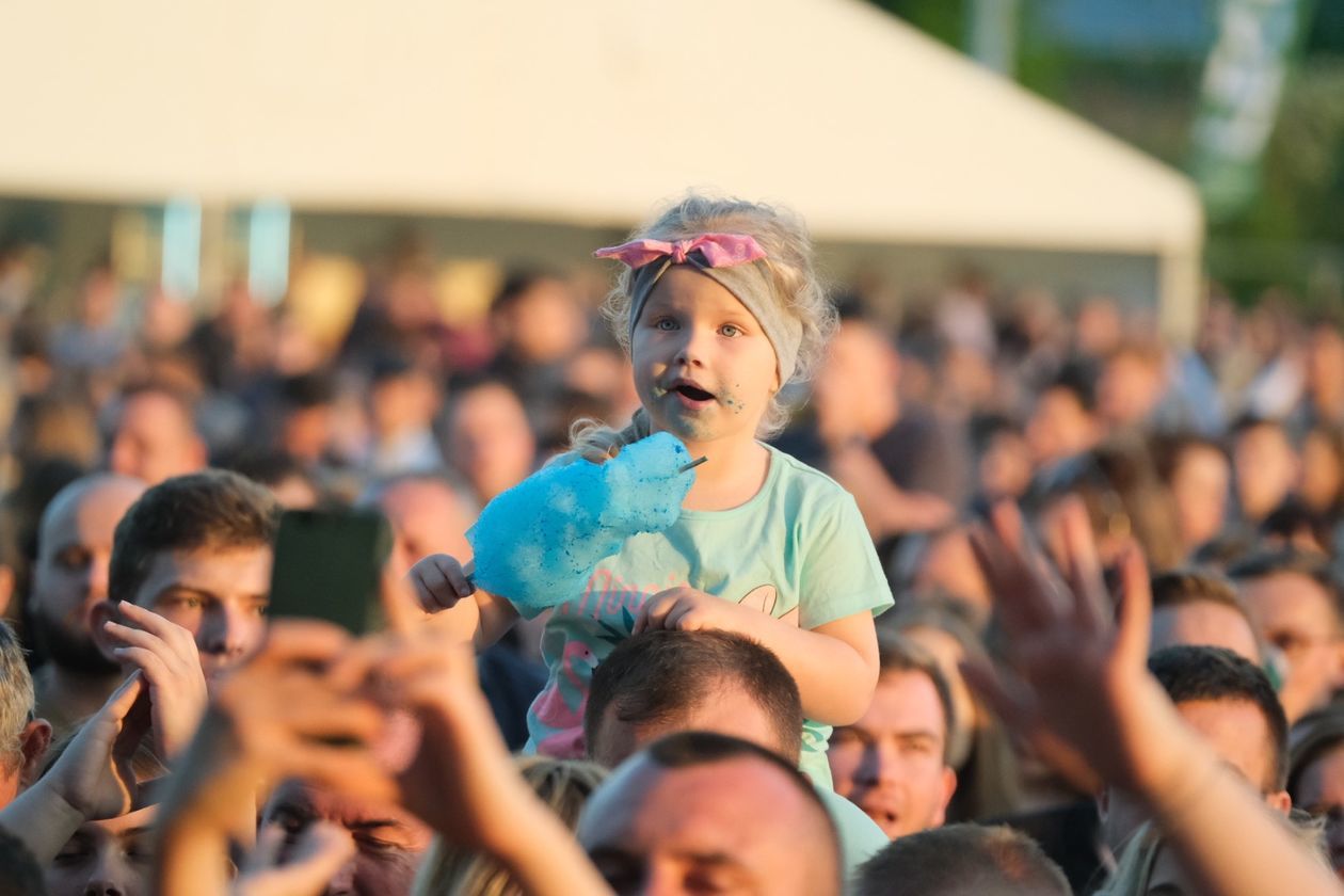  Feliniada 2019 w Lublinie (zdjęcie 1) - Autor: Maciej Kaczanowski