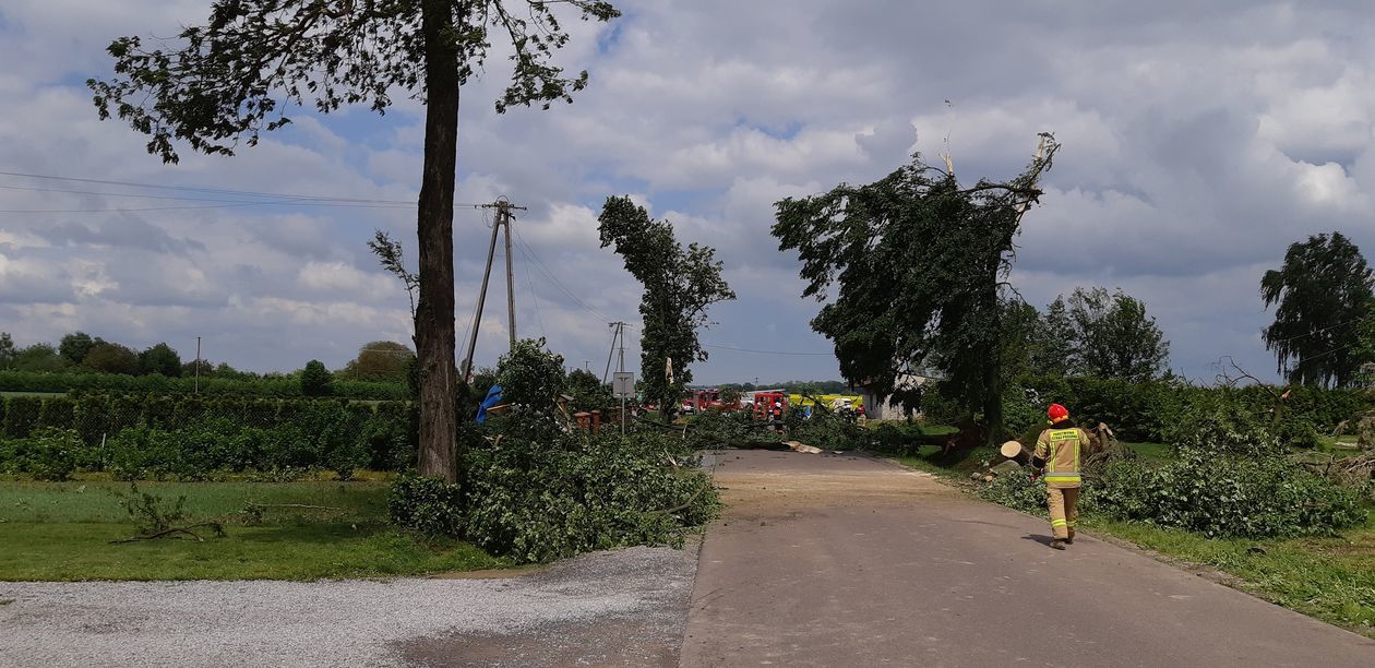  Trąba powietrzna w gm. Wojciechów (zdjęcie 1) - Autor: Marcin Sobczak