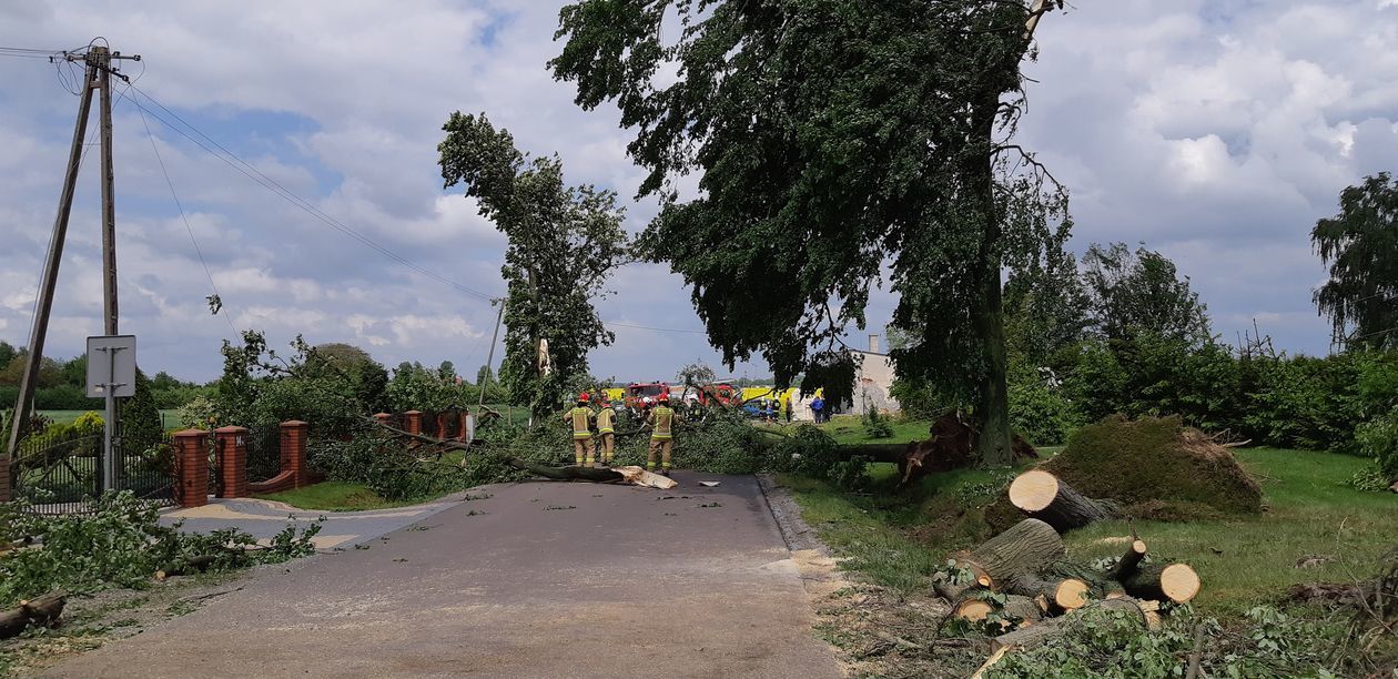  Trąba powietrzna w gm. Wojciechów (zdjęcie 1) - Autor: Marcin Sobczak