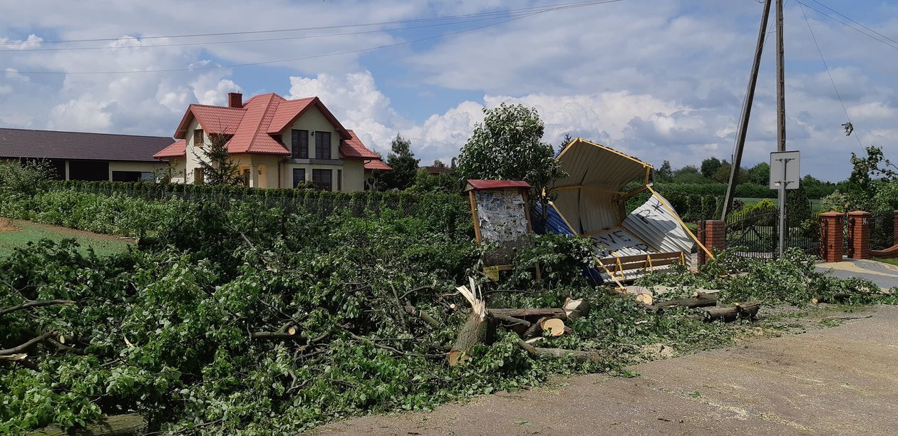  Trąba powietrzna w gm. Wojciechów (zdjęcie 1) - Autor: Marcin Sobczak