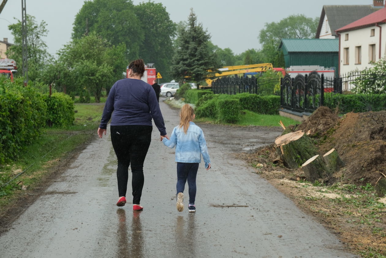  Skutki przejścia trąby powietrznej w gminie Wojciechów (zdjęcie 1) - Autor: Maciej Kaczanowski