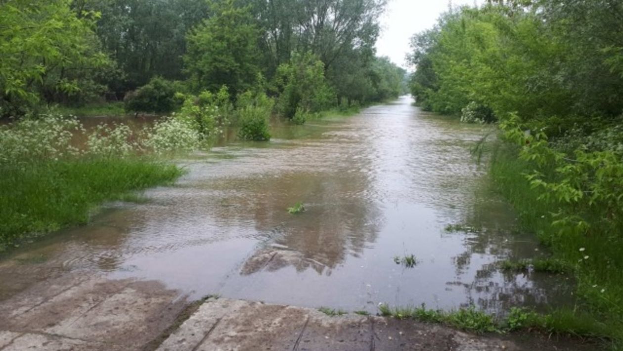  Wysoka woda w Wiśle (gmina Annopol) (zdjęcie 1) - Autor: Starostwo Powiatowe w Kraśniku