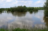 Wisła zalewa bulwar, alarm przeciwpowodziowy (zdjęcie 3)