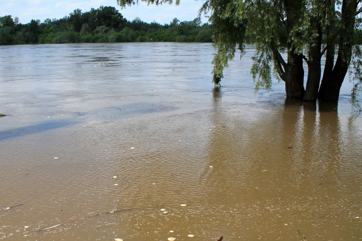  Wisła zalewa bulwar, alarm przeciwpowodziowy (zdjęcie 1) - Autor: Radosław Szczęch