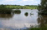 Wisła zalewa bulwar, alarm przeciwpowodziowy (zdjęcie 5)