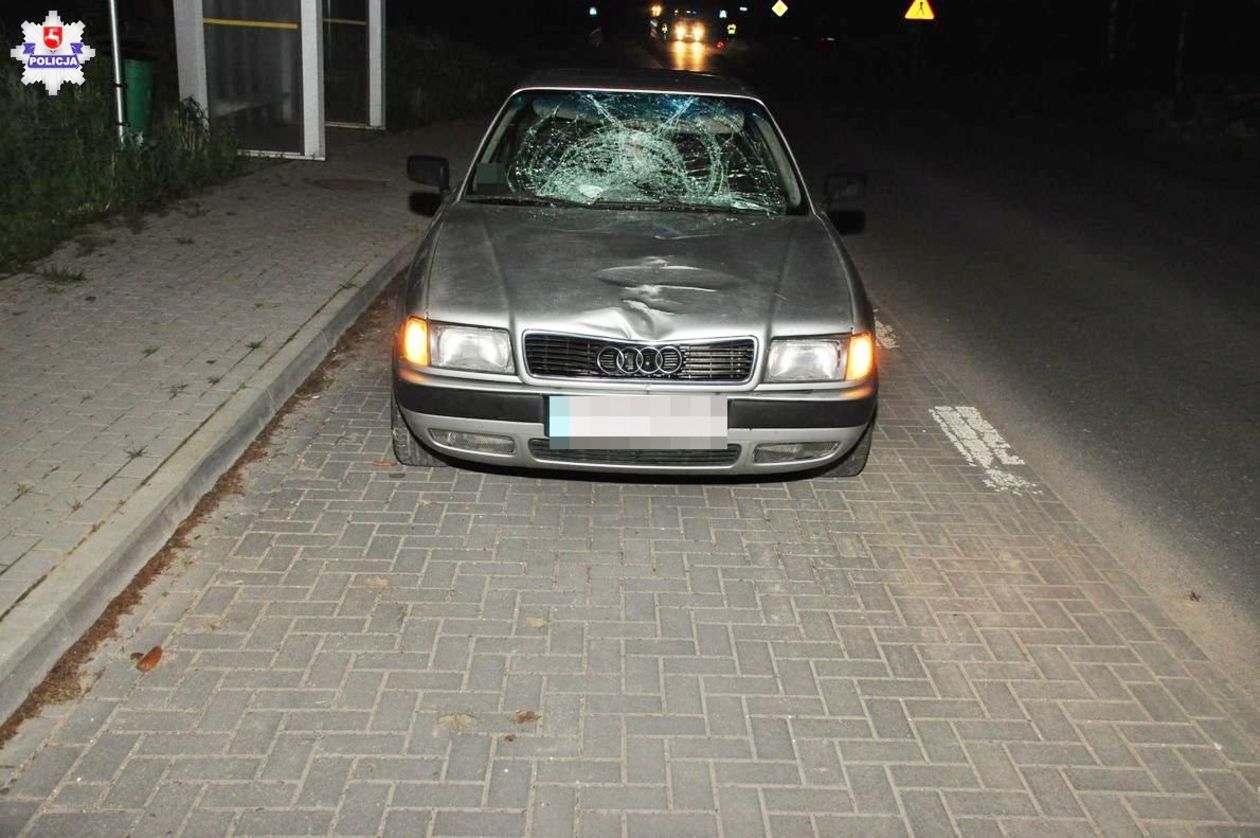  Śmiertelny wypadek w miejscowości Kosarzew Dolny Kolonia (zdjęcie 1) - Autor: Policja