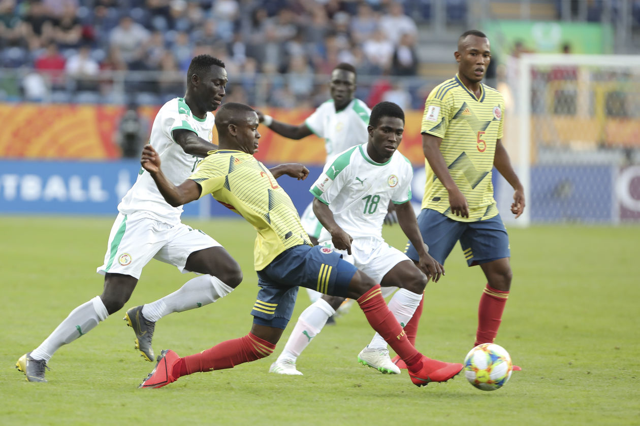  Senegal - Kolumbia (zdjęcie 1) - Autor: Jacek Szydłowski