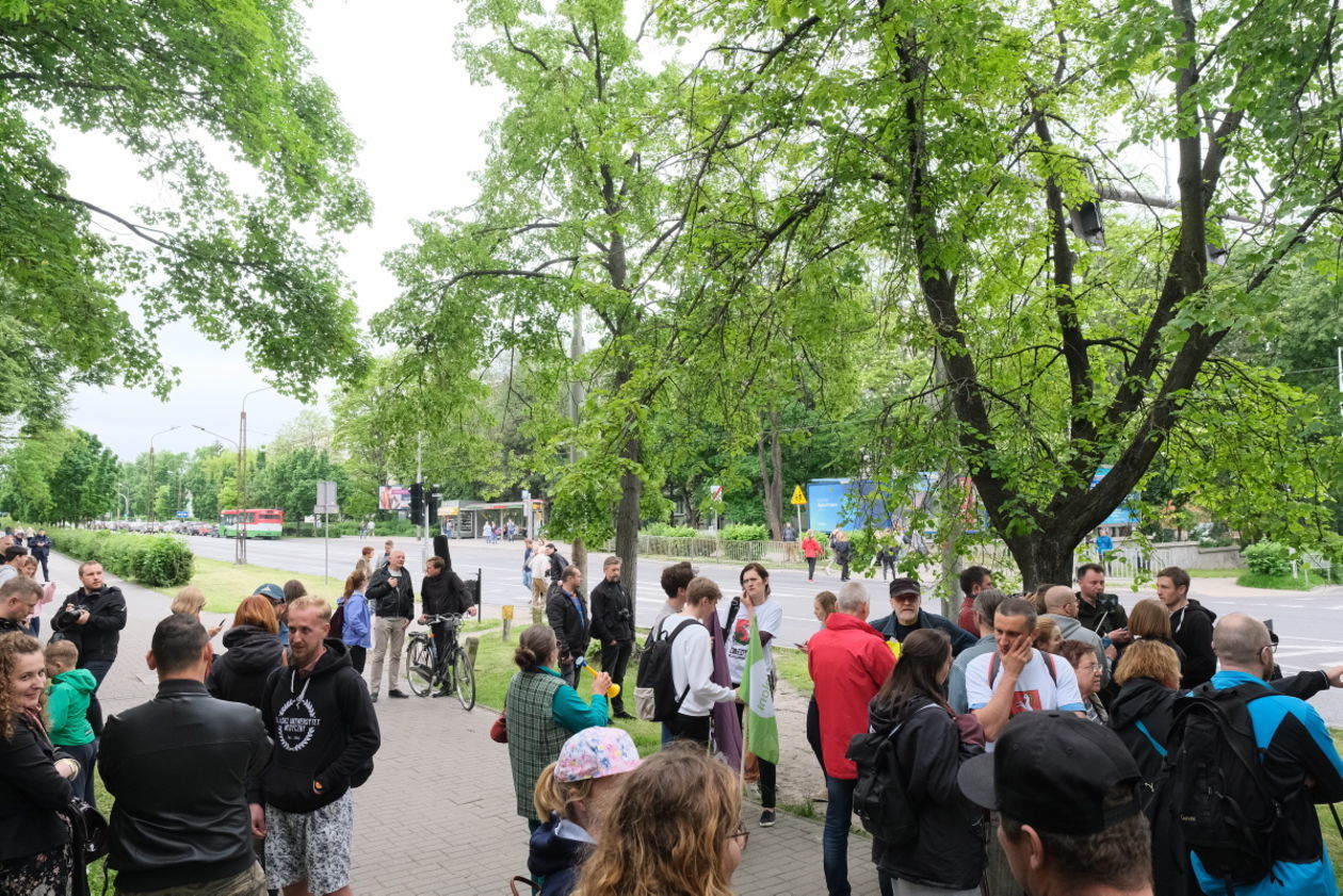  Protest przeciwko wycince drzew z Al. Racławickich w Lublinie (zdjęcie 5) - Autor: Maciej Kaczanowski