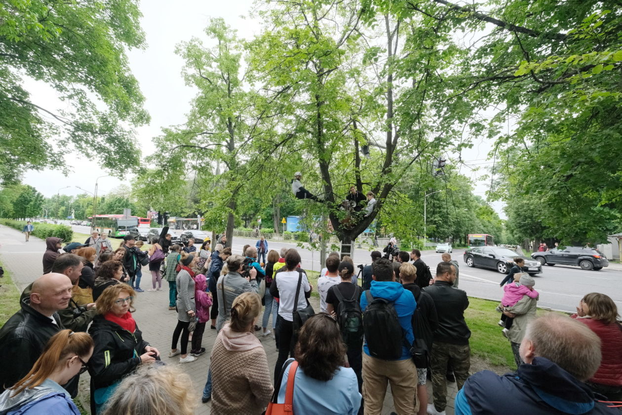  Protest przeciwko wycince drzew z Al. Racławickich w Lublinie (zdjęcie 12) - Autor: Maciej Kaczanowski