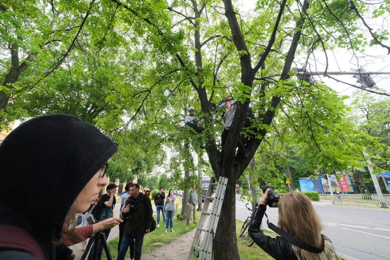  Protest przeciwko wycince drzew z Al. Racławickich w Lublinie (zdjęcie 15) - Autor: Maciej Kaczanowski