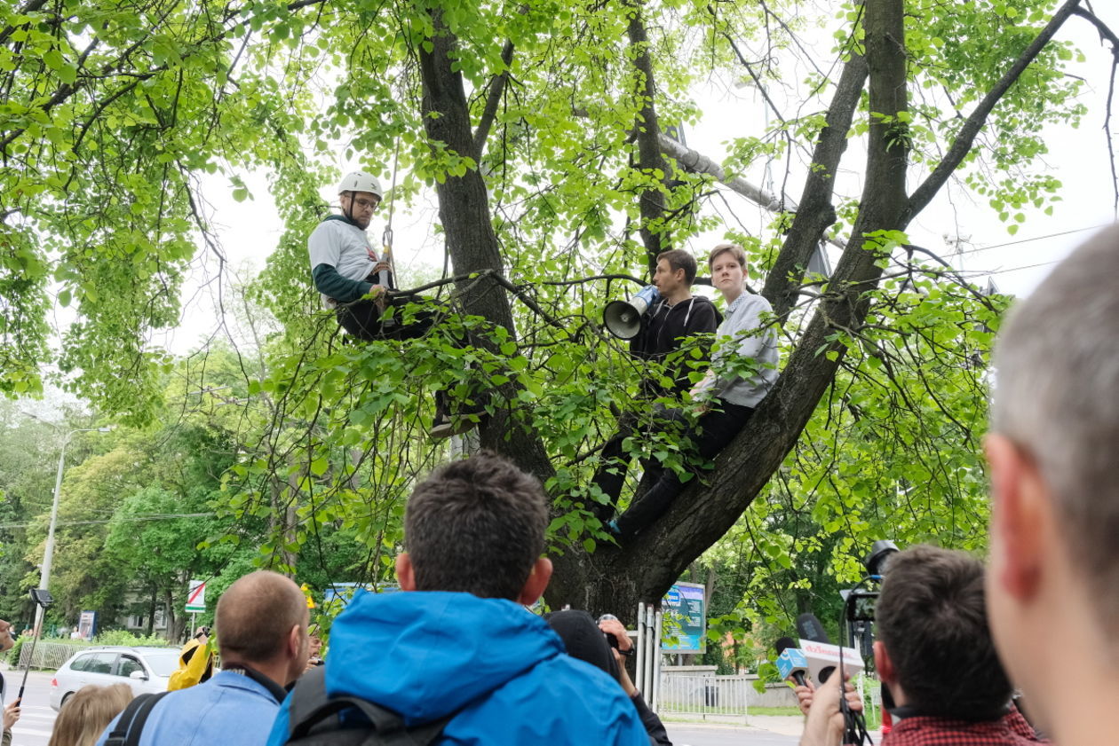  Protest przeciwko wycince drzew z Al. Racławickich w Lublinie (zdjęcie 18) - Autor: Maciej Kaczanowski