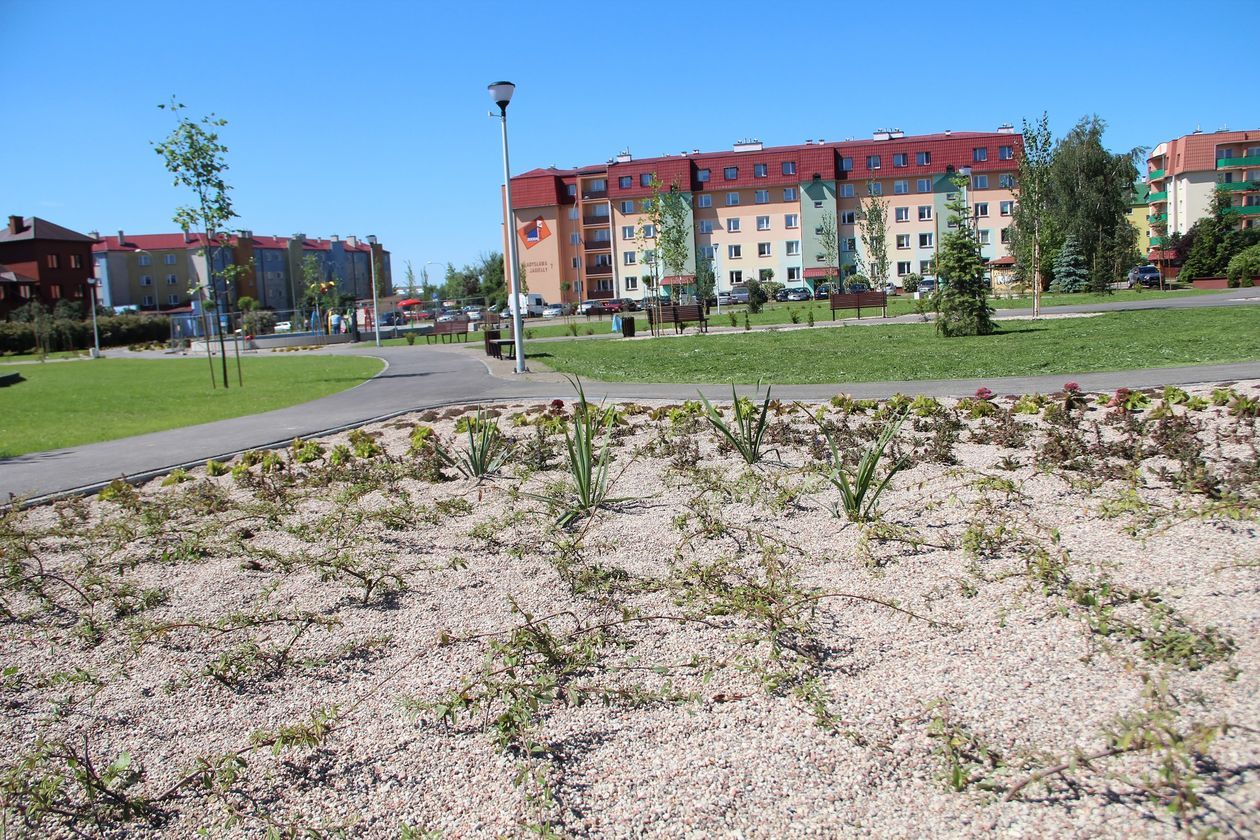  Nowy park przy ul. Terebelskiej w Białej Podlaskiej (zdjęcie 1) - Autor: Ewelina Burda