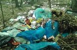 Właściciel warsztatu samochodowego wywiózł śmieci do Lasów Kozłowieckich (zdjęcie 2)