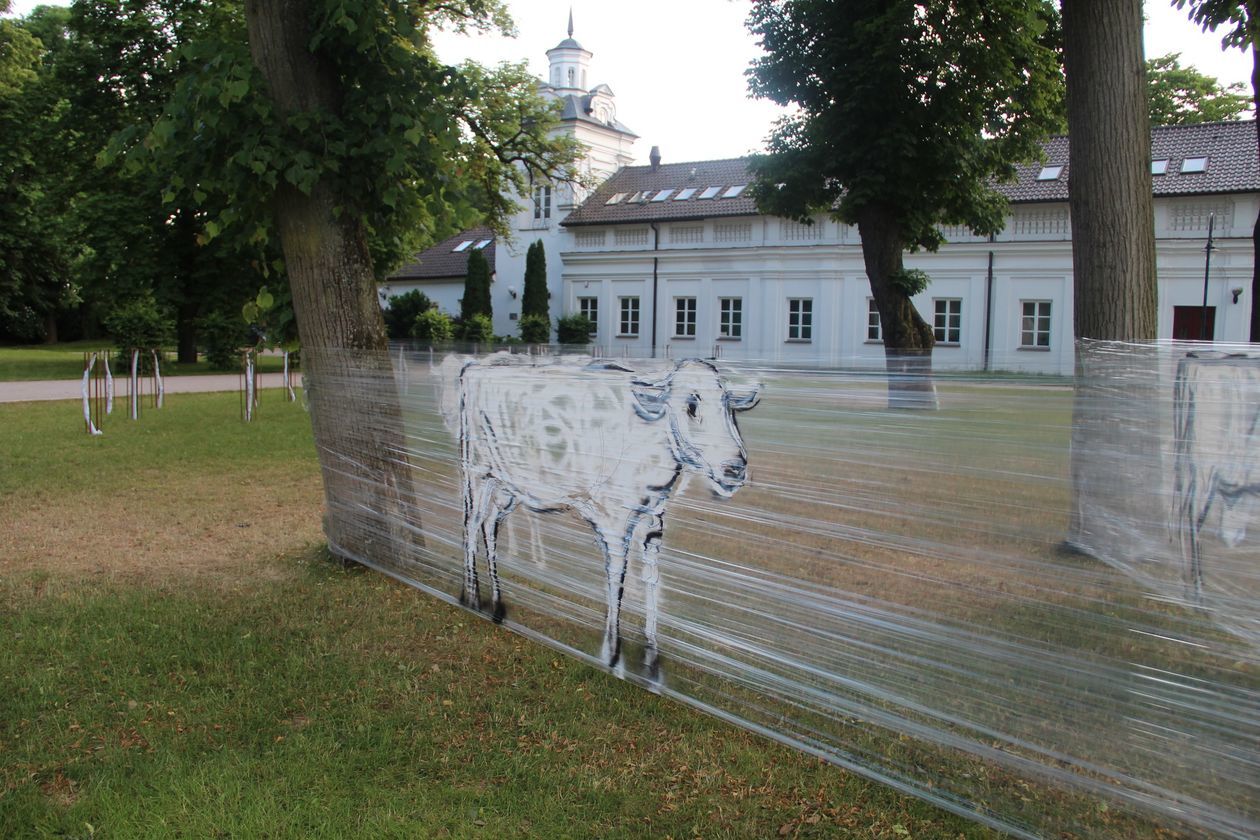  Park Sztuki w Białej Podlaskiej  (zdjęcie 1) - Autor: Ewelina Burda