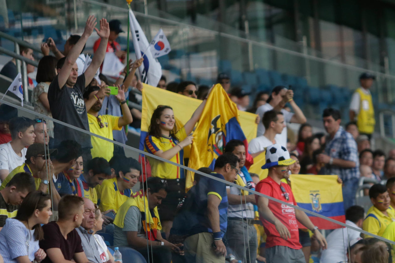  Kibice na meczu MŚ U-20: Korea Południowa - Ekwador (zdjęcie 1) - Autor: Wojciech Szubartowski