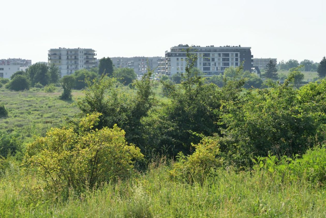  Górki Czechowskie (zdjęcie 1) - Autor:  