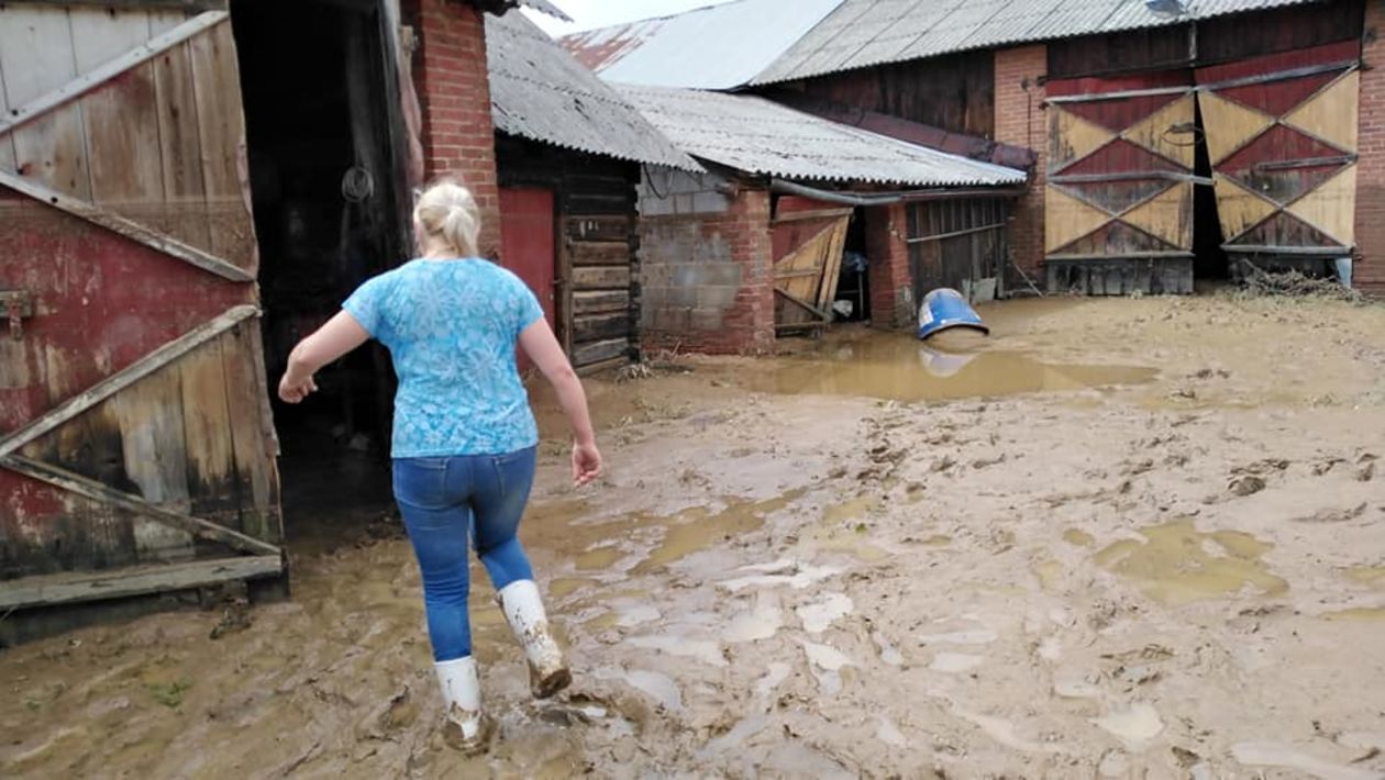  Wierzchowiska w gminie Modliborzyce zalane po ulewie (zdjęcie 1) - Autor: Dominik Smaga