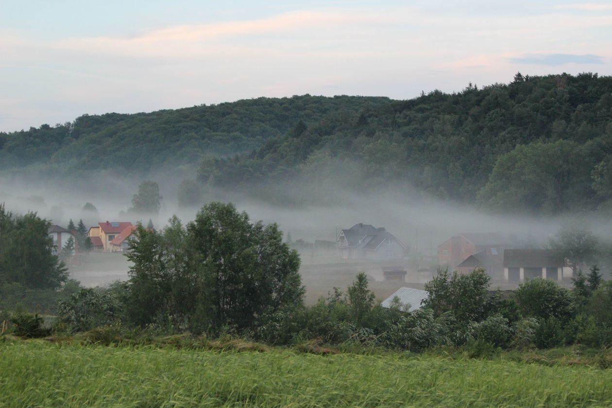  Wierzchowiska w gminie Modliborzyce zalane po ulewie (zdjęcie 1) - Autor: Tomasz Kamiński