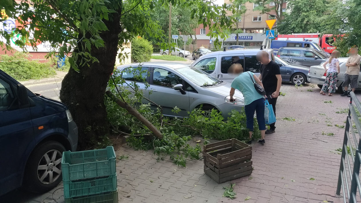  Połamane drzewo uszkodziło cztery samochody przy ul. Puławskiej (zdjęcie 1) - Autor: Paweł Buczkowski