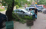 Połamane drzewo uszkodziło cztery samochody przy ul. Puławskiej (zdjęcie 5)