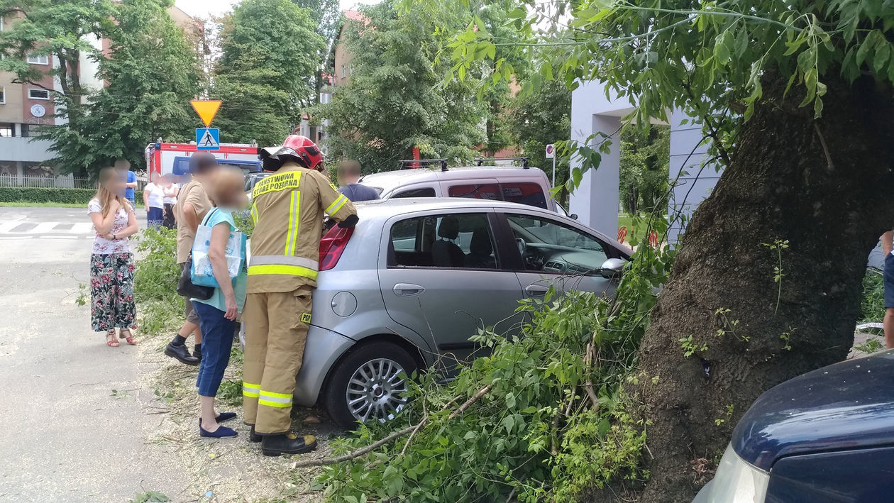  Połamane drzewo uszkodziło cztery samochody przy ul. Puławskiej (zdjęcie 1) - Autor: Paweł Buczkowski