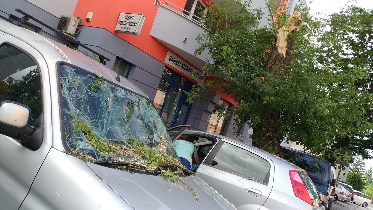 Połamane drzewo uszkodziło cztery samochody przy ul. Puławskiej - Autor: Paweł Buczkowski