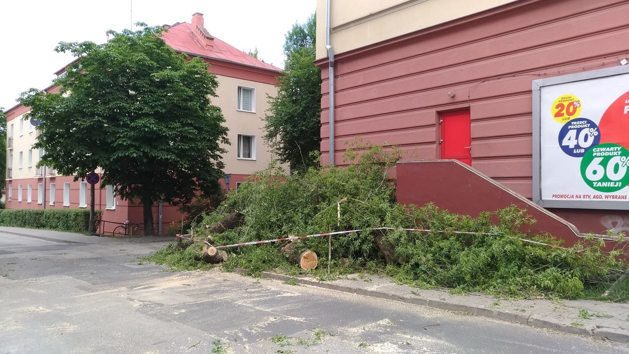  Połamane drzewo uszkodziło cztery samochody przy ul. Puławskiej (zdjęcie 1) - Autor: Paweł Buczkowski