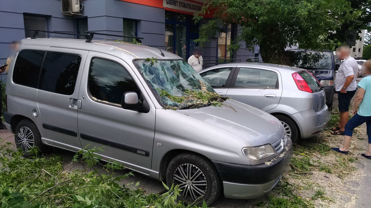  Połamane drzewo uszkodziło cztery samochody przy ul. Puławskiej (zdjęcie 1) - Autor: Paweł Buczkowski