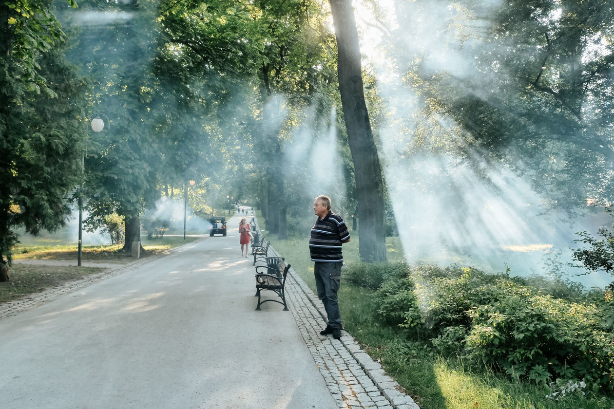  Odkomarzanie w Ogrodzie Saskim (zdjęcie 1) - Autor: Krzysztof Mazur