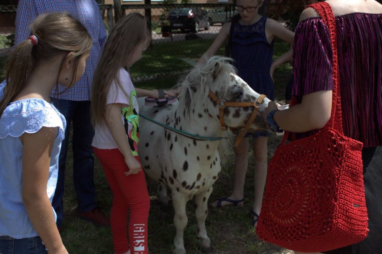  Piknik Rodzinny w Przedszkolu Specjalnym nr 11 w Lublinie (zdjęcie 1) - Autor: Przedszkole Specjalne nr 11 w Lublinie